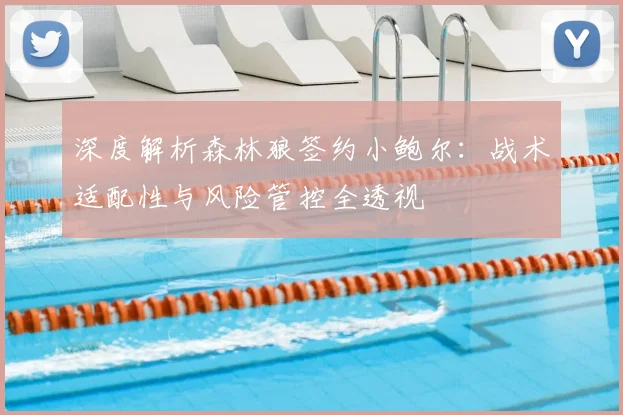 深度解析森林狼签约小鲍尔:战术适配性与风险管控全透视